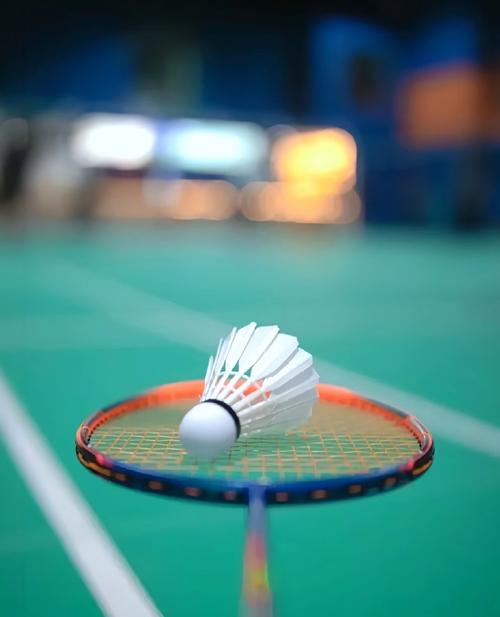 英超俱乐部最快达成50场零封门将前10：切赫第1，拉亚第5