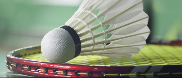 仅展现了皇 仅展现了皇